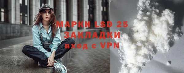 прущие грибы Армянск
