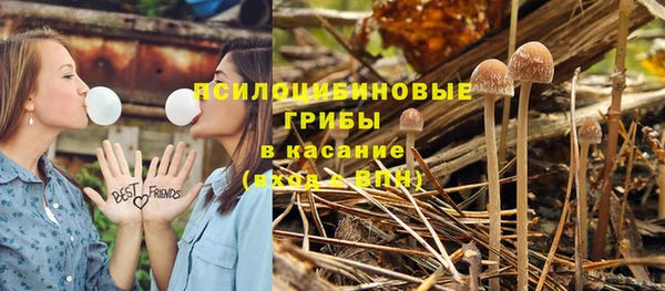 скорость Алексин