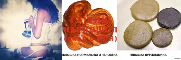 прущие грибы Армянск