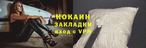 трава Арсеньев