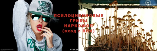 прущие грибы Армянск