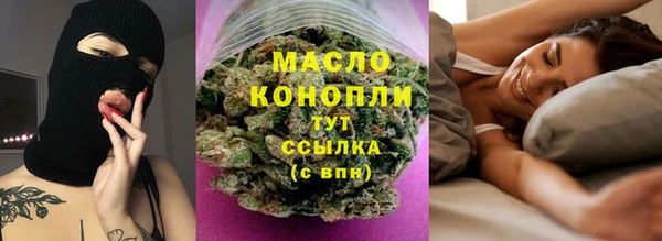 прущие грибы Армянск