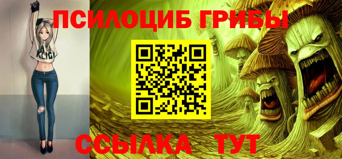 Псилоцибиновые грибы мицелий Моздок