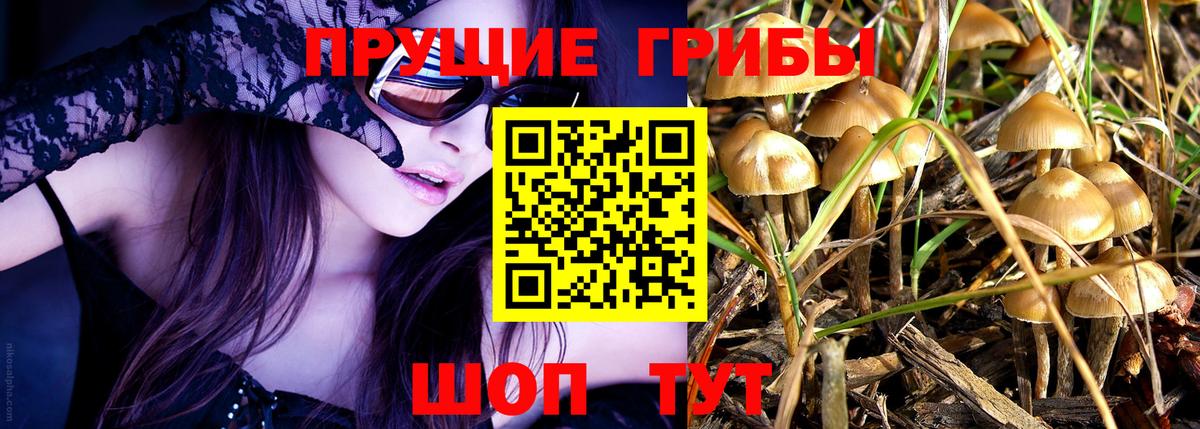 Псилоцибиновые грибы MAGIC MUSHROOMS  Вход с VPN  Моздок  Псилоцибиновые грибы мицелий 